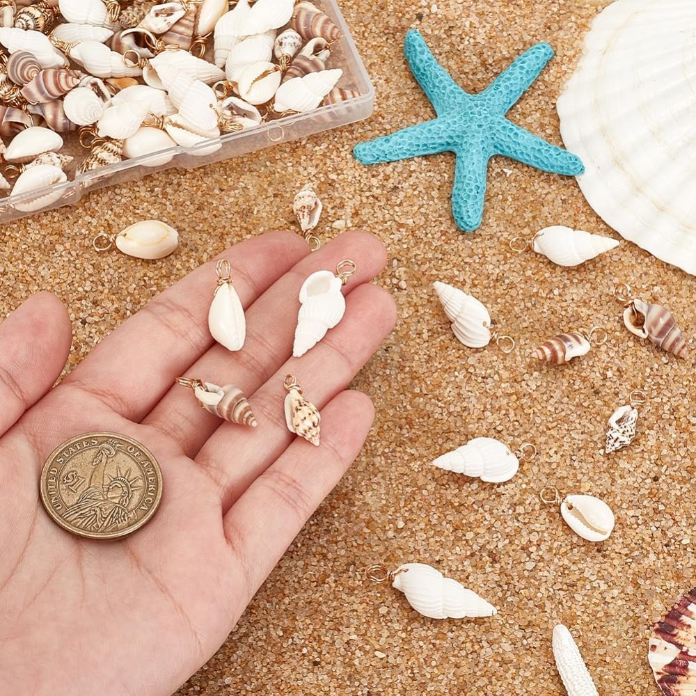100pcs 4 Styles Natural Shell  – Body Jewelry Beach Bewertung und Preis